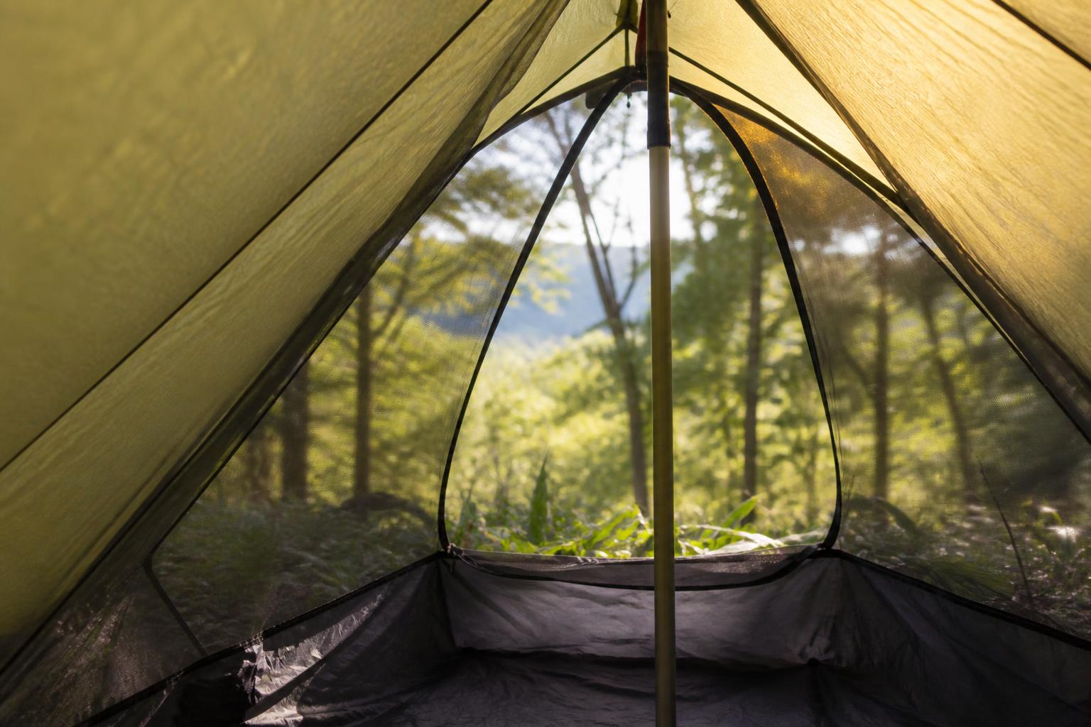 Intérieur d'un abri hybride tente-tarp montrant la moustiquaire mesh intégrée, le tapis de sol en baignoire et la toile extérieure translucide, avec la forêt visible à travers l'ouverture
