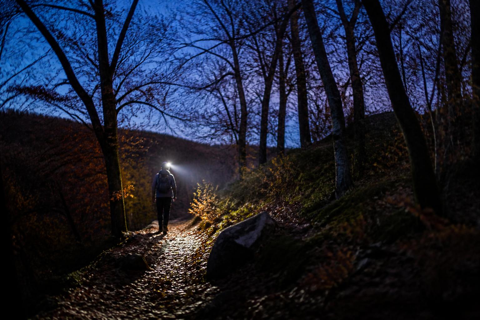 Randonneur portant une lampe frontale sur un sentier forestier au crépuscule