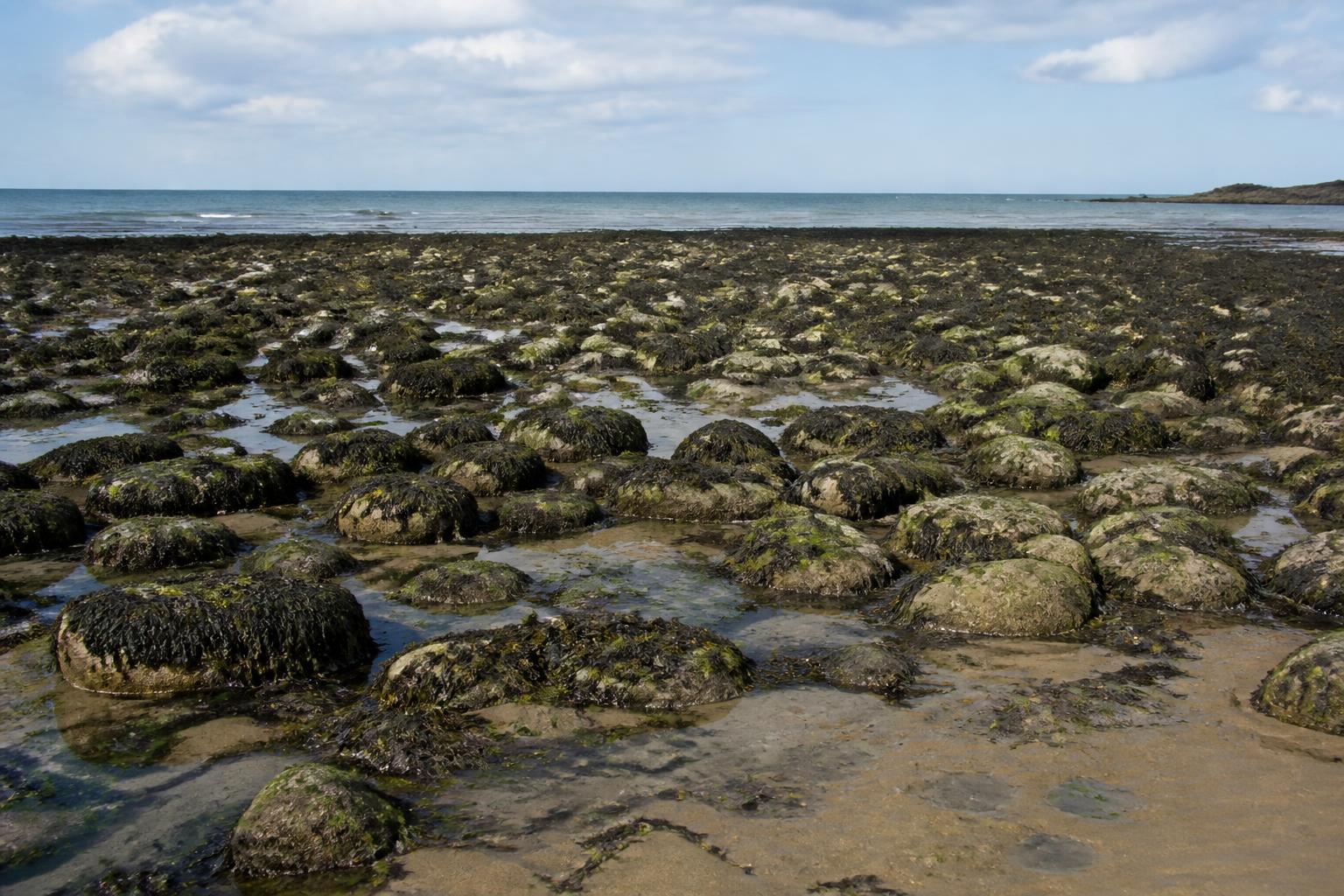 Estran rocheux découvert à marée basse sur la côte atlantique