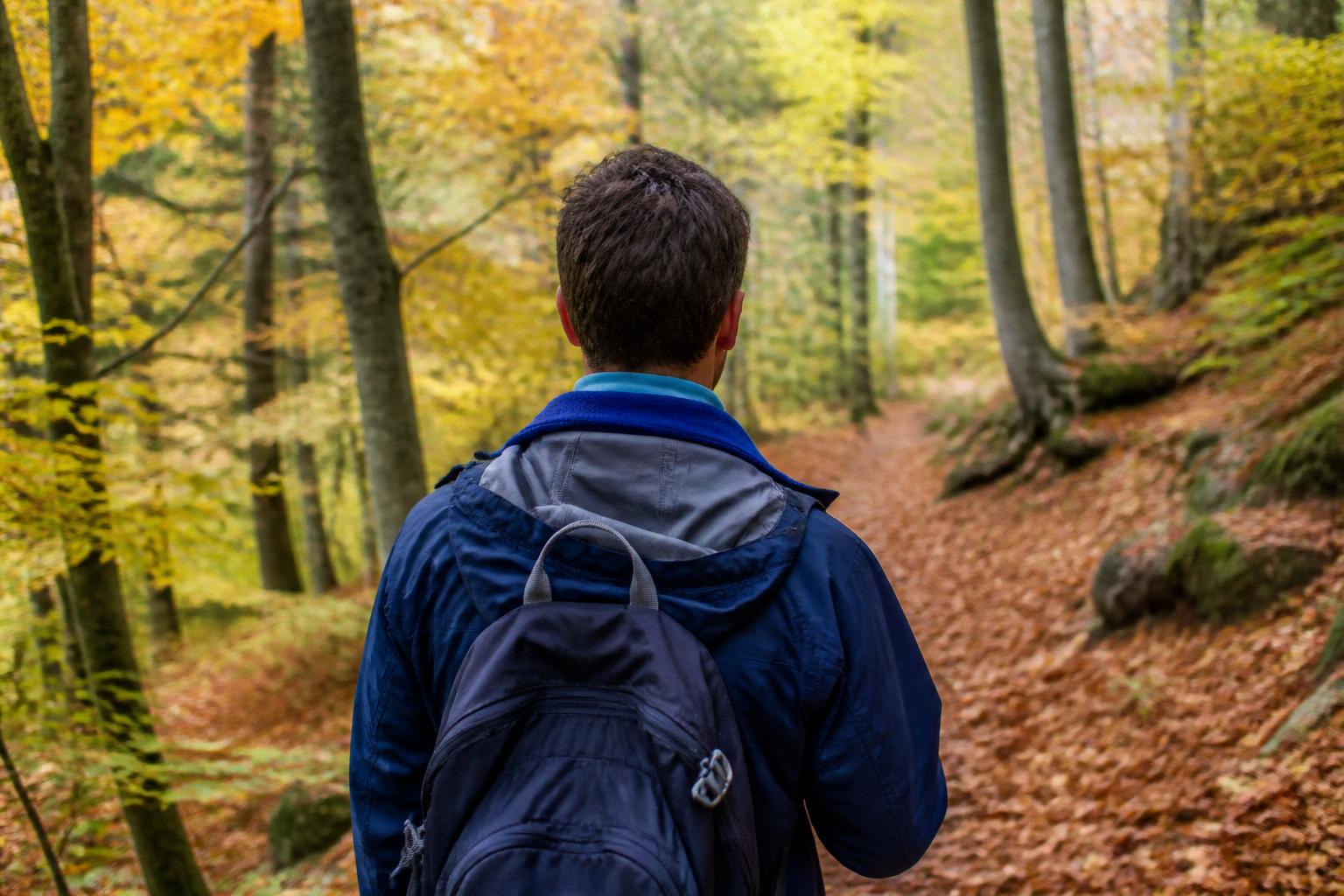 Randonneur sur un sentier forestier en automne portant un système trois couches : sous-couche respirante visible au col, polaire intermédiaire, et veste imperméable par-dessus