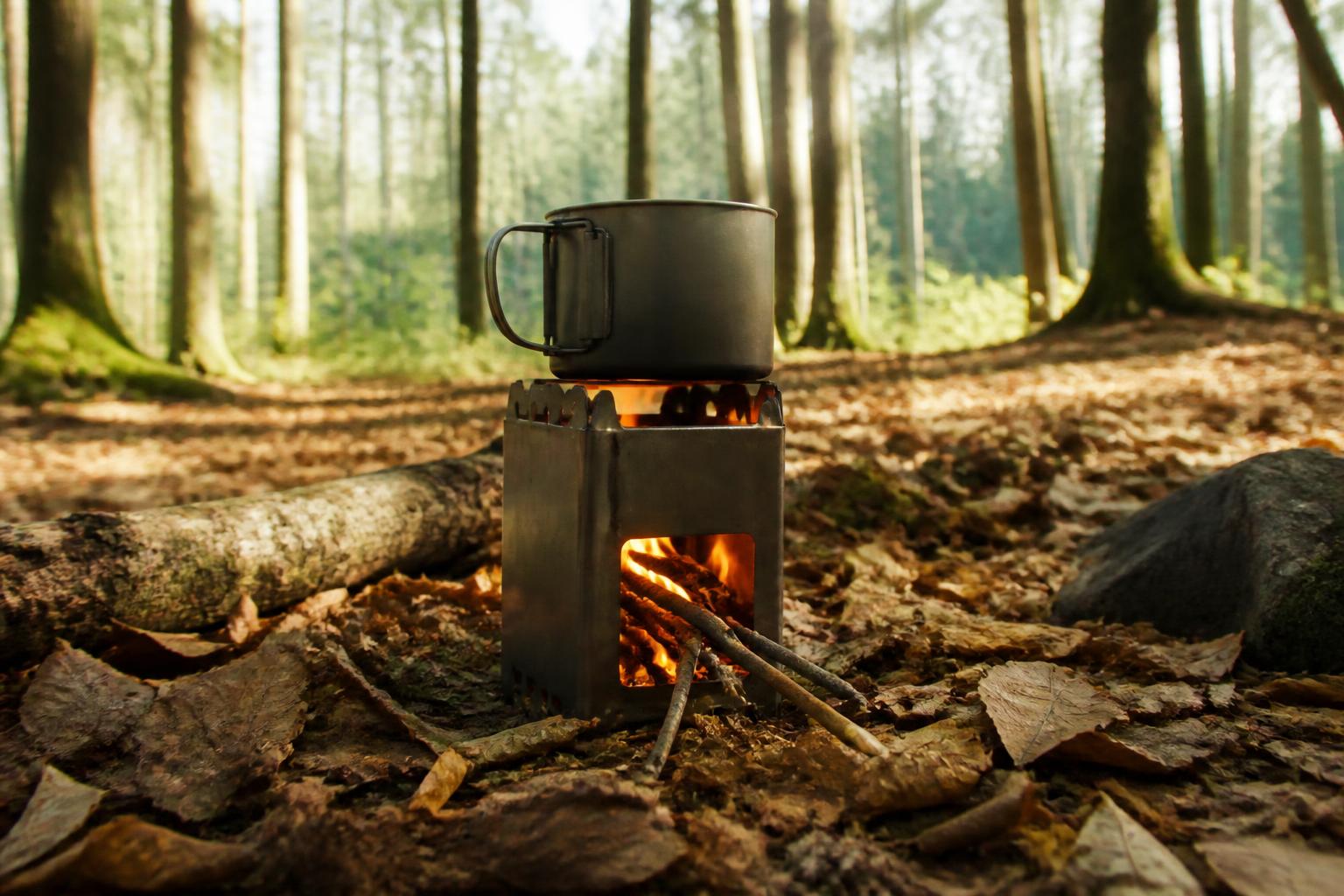 Réchaud à bois avec flammes dans une forêt européenne, feuilles mortes au sol