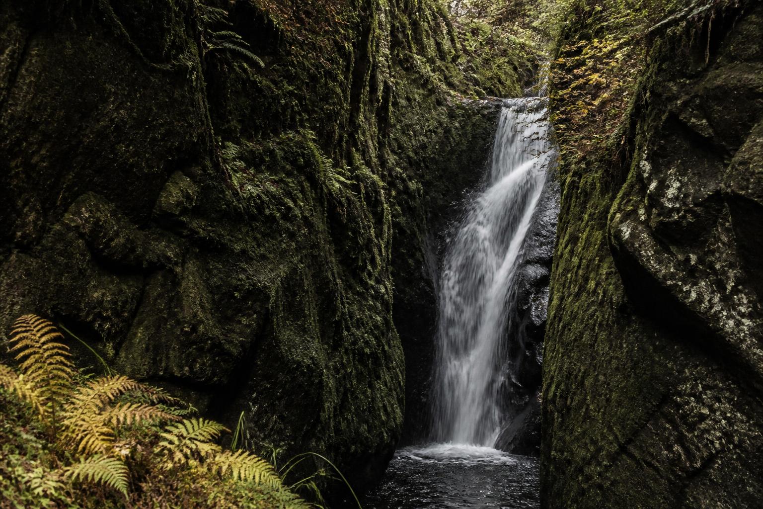 Cascade de Jiou-Jiou dans un goulet de basalte noir, entourée de fougères jaunissantes et de mousse rousse, en automne sur le plateau de l'Aubrac
