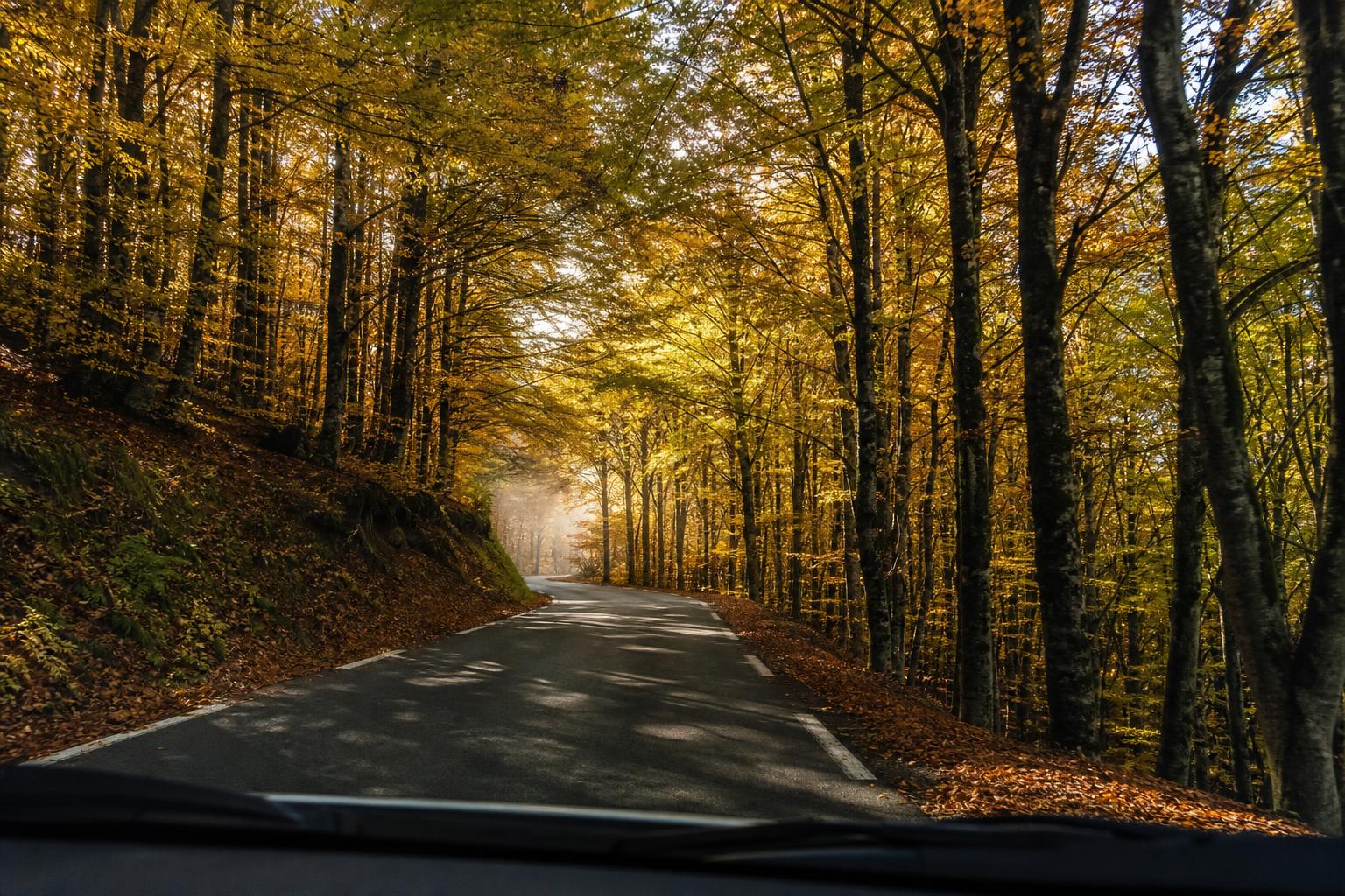La Soule en automne : quatre jours dans le Pays basque intérieur